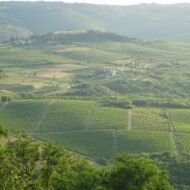 Landscape seen from Motovun