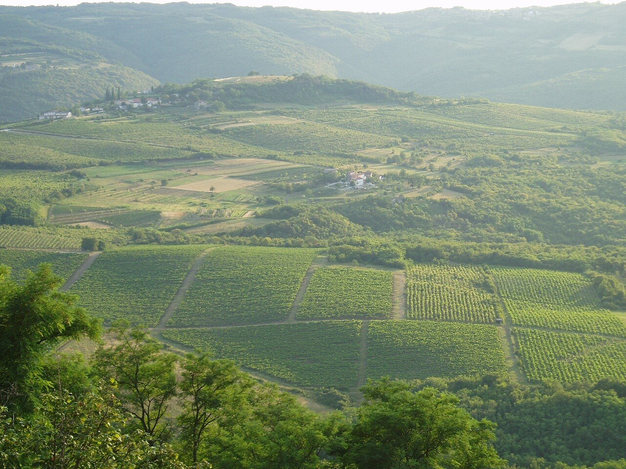 Landscape seen from Motovun